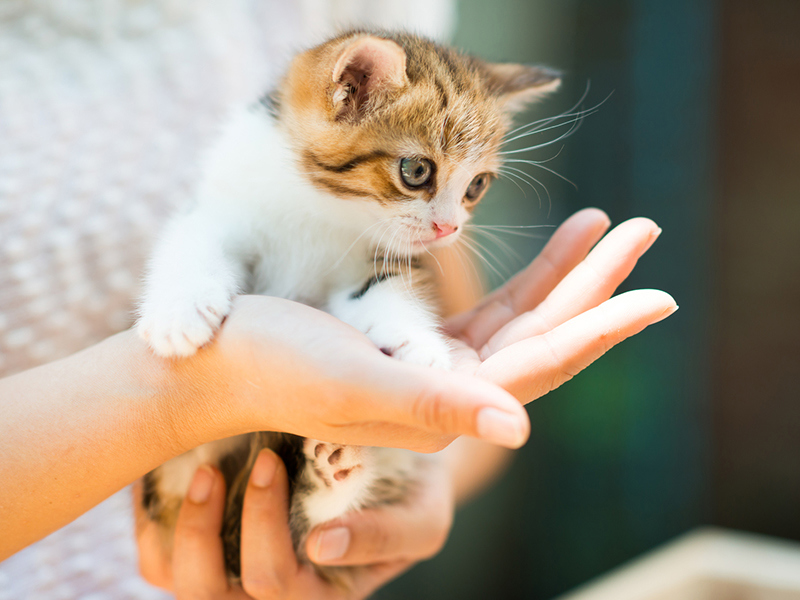 Umbraco.Cms.Infrastructure.PublishedCache.Property