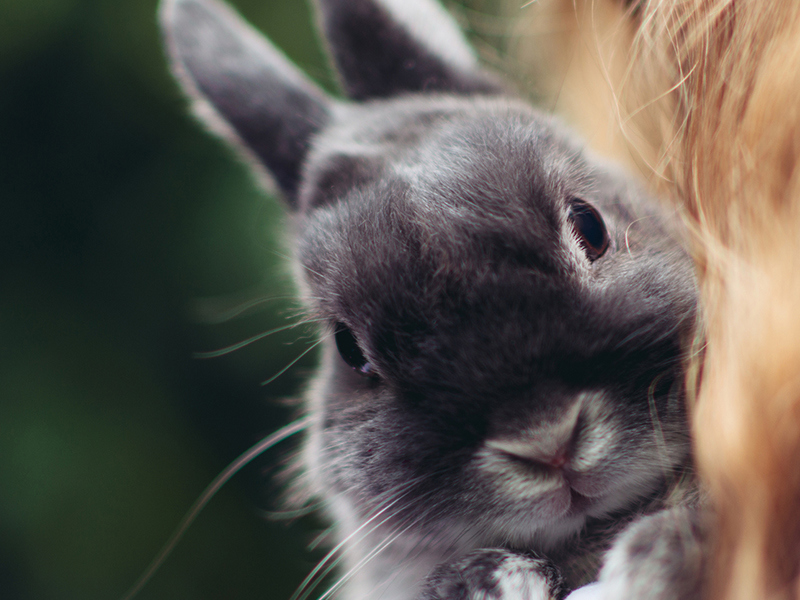 Umbraco.Cms.Infrastructure.PublishedCache.Property