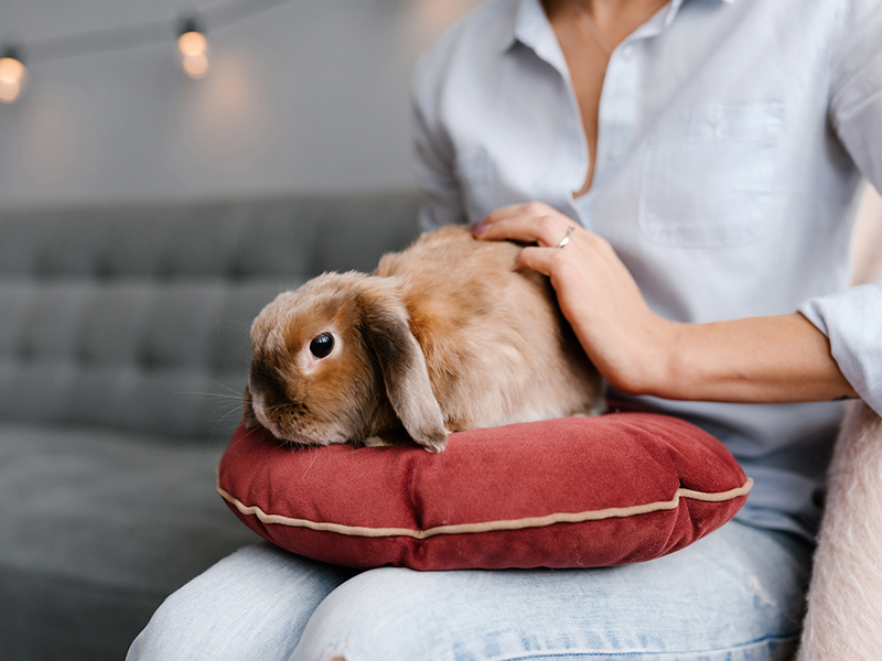 Umbraco.Cms.Infrastructure.PublishedCache.Property