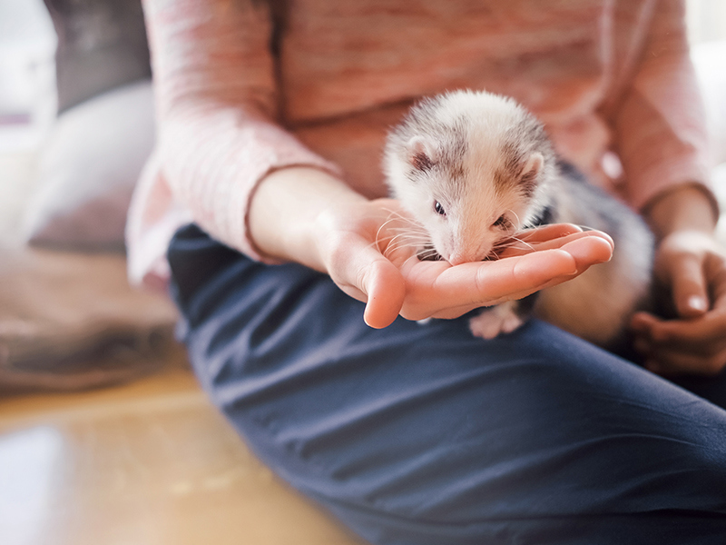 Umbraco.Cms.Infrastructure.PublishedCache.Property