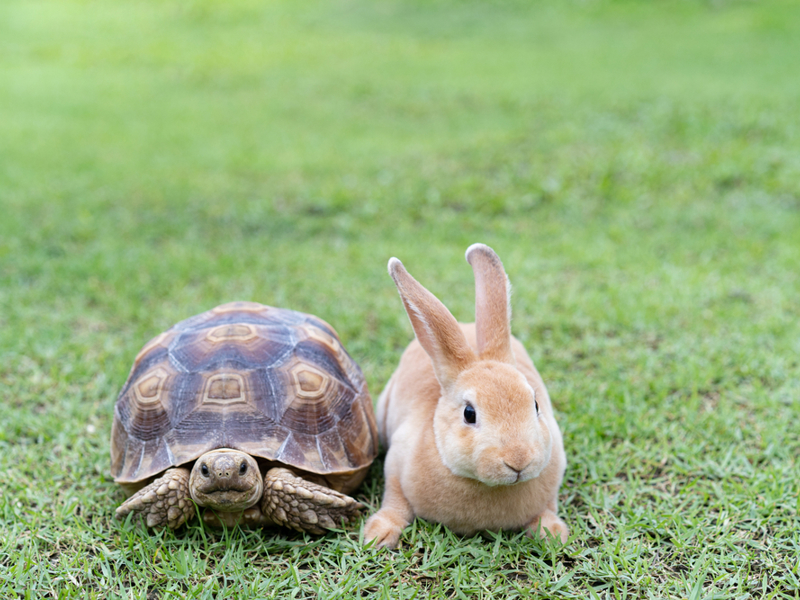 Umbraco.Cms.Infrastructure.PublishedCache.Property