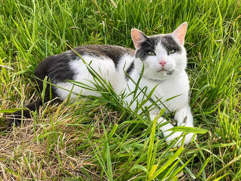 Umbraco.Cms.Infrastructure.PublishedCache.Property