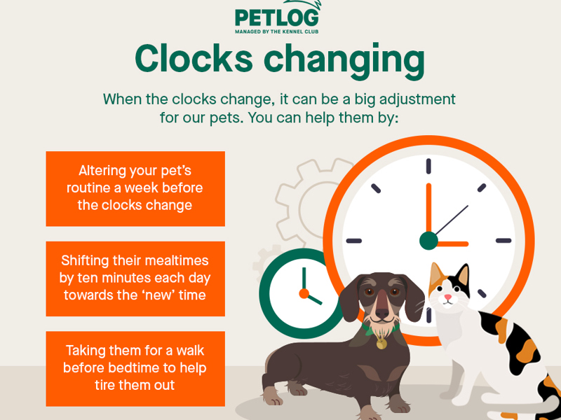 Umbraco.Cms.Infrastructure.PublishedCache.Property