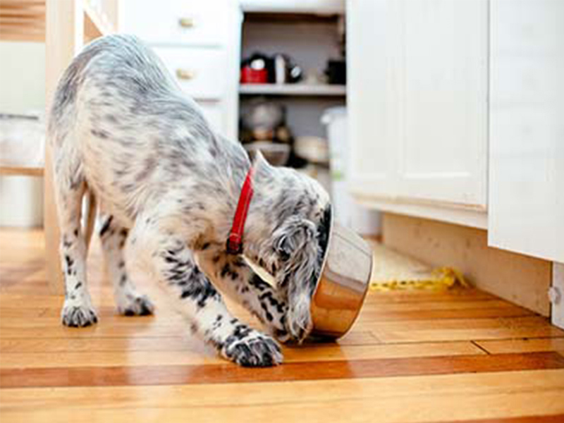 Umbraco.Cms.Infrastructure.PublishedCache.Property