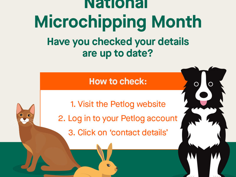 Umbraco.Cms.Infrastructure.PublishedCache.Property