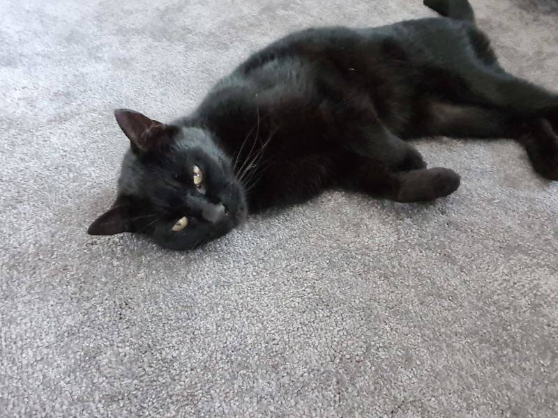 Umbraco.Cms.Infrastructure.PublishedCache.Property