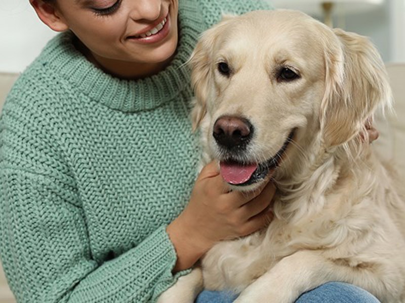 Umbraco.Cms.Infrastructure.PublishedCache.Property