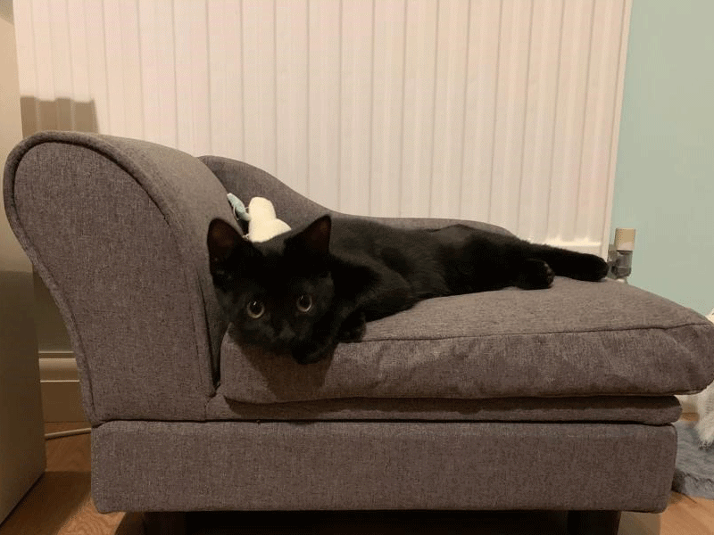 Umbraco.Cms.Infrastructure.PublishedCache.Property