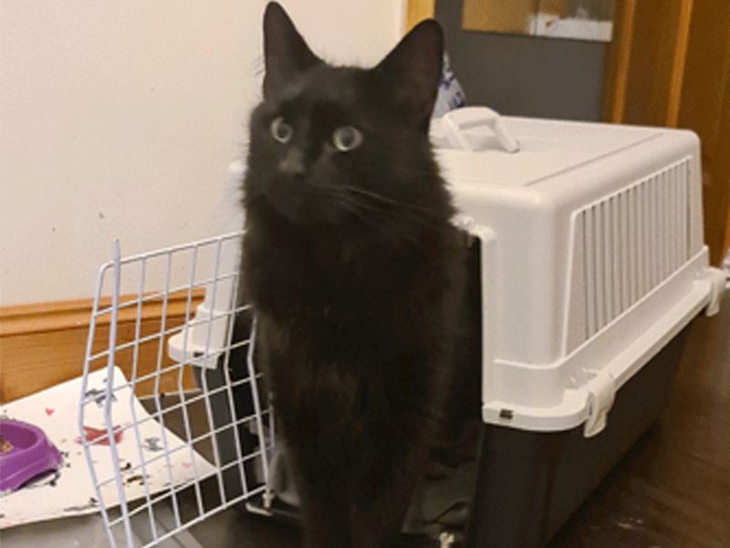 Umbraco.Cms.Infrastructure.PublishedCache.Property