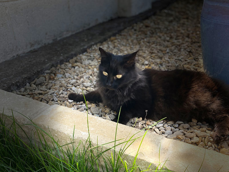 Umbraco.Cms.Infrastructure.PublishedCache.Property