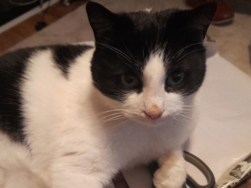 Umbraco.Cms.Infrastructure.PublishedCache.Property