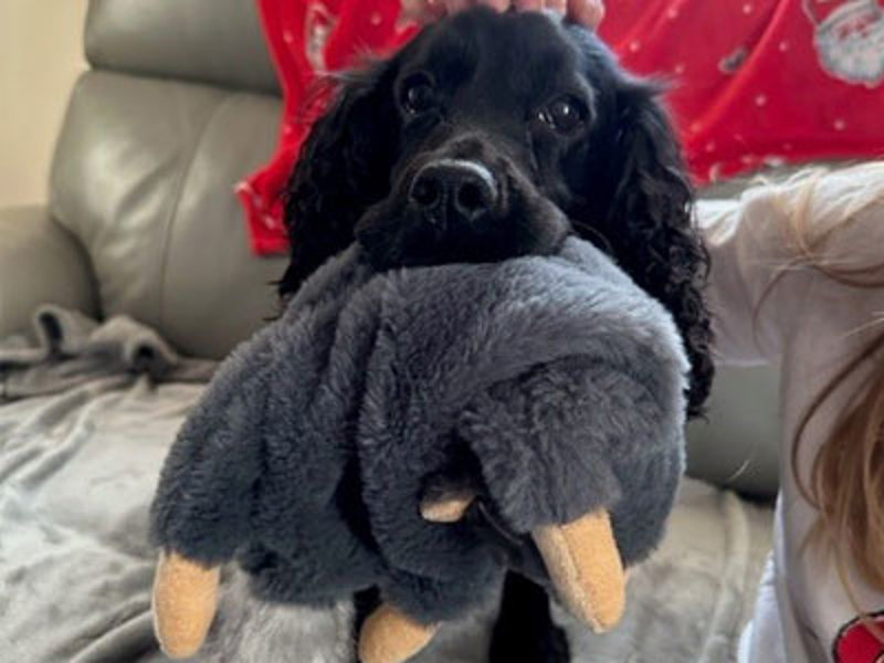 Umbraco.Cms.Infrastructure.PublishedCache.Property