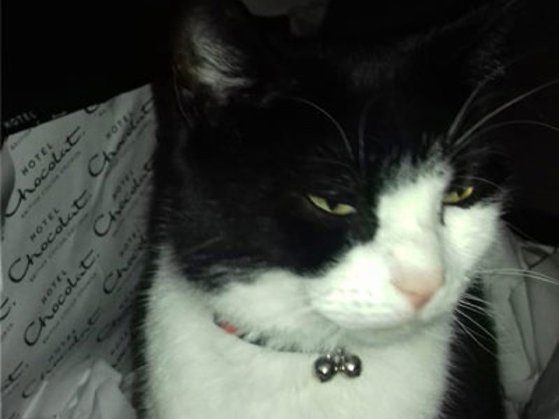 Umbraco.Cms.Infrastructure.PublishedCache.Property