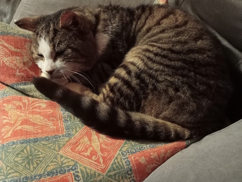 Umbraco.Cms.Infrastructure.PublishedCache.Property